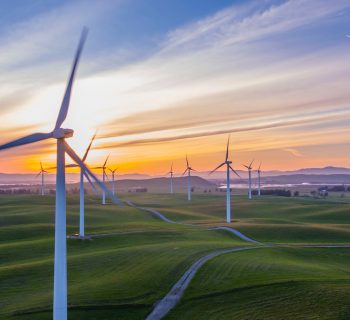 Environmentally Friendly